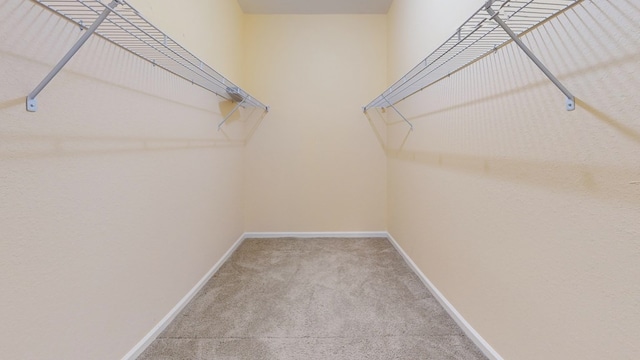 314 Grove Pointe Dr, Thomasville, GA 31792 - spacious closet with carpet flooring