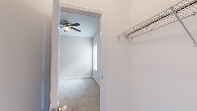314 Grove Pointe Dr, Thomasville, GA 31792 - walk in closet with ceiling fan and carpet flooring