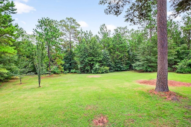 197 Beachton Ridge Dr, Thomasville, GA 31792 - photo 30