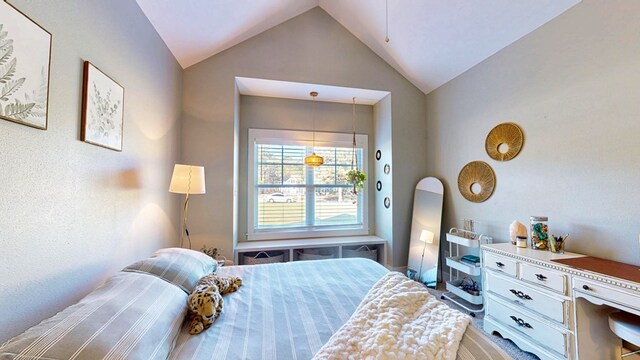 bedroom with lofted ceiling