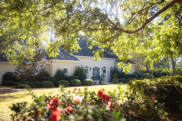 view of front of home featuring a front yard