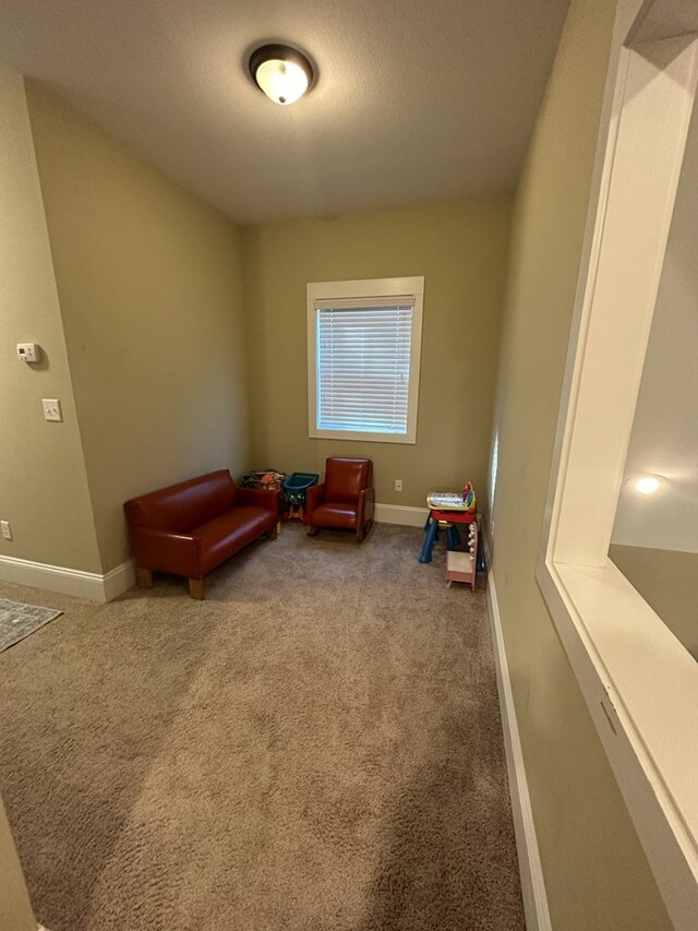 playroom featuring carpet floors