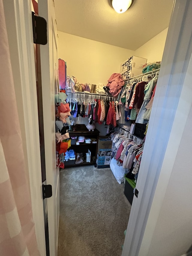 walk in closet featuring carpet flooring