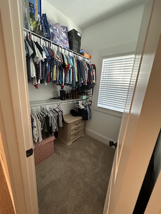 walk in closet featuring carpet floors