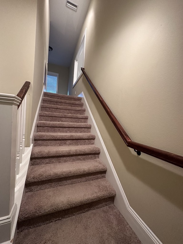 staircase featuring carpet floors