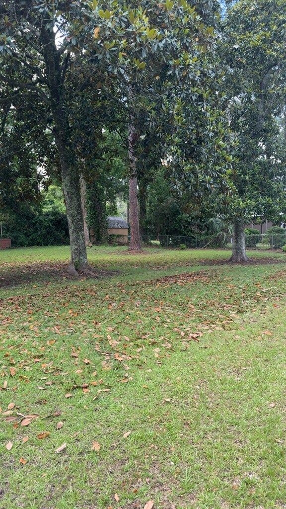 1812 Whitehurst St, Thomasville, GA 31792 - photo 31