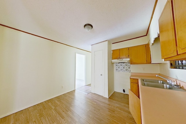 452 Bn Railroad Cir, Boston, GA 31626 - kitchen featuring a sink, under cabinet range hood, light wood-style floors, light countertops, and brown cabinetry