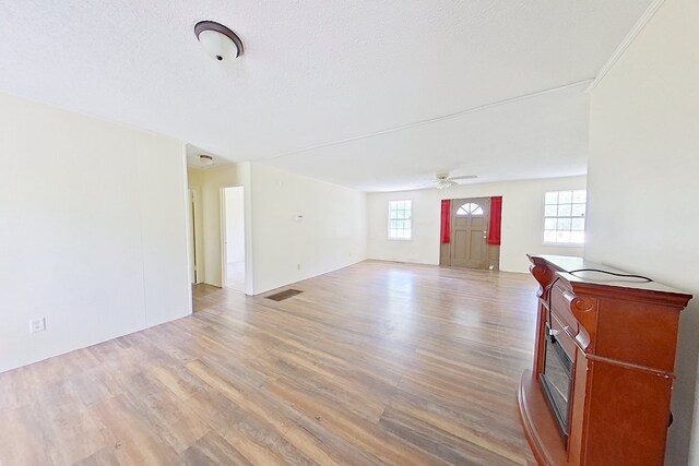 452 Bn Railroad Cir, Boston, GA 31626 - unfurnished living room with light wood-style floors and ceiling fan