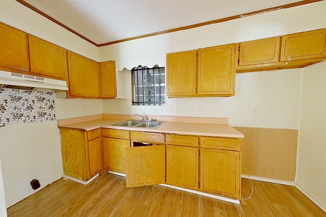 452 Bn Railroad Cir, Boston, GA 31626 - kitchen featuring a sink, under cabinet range hood, light wood-style flooring, light countertops, and crown molding