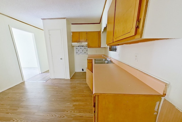 452 Bn Railroad Cir, Boston, GA 31626 - kitchen featuring a sink, under cabinet range hood, light wood-type flooring, light countertops, and brown cabinetry