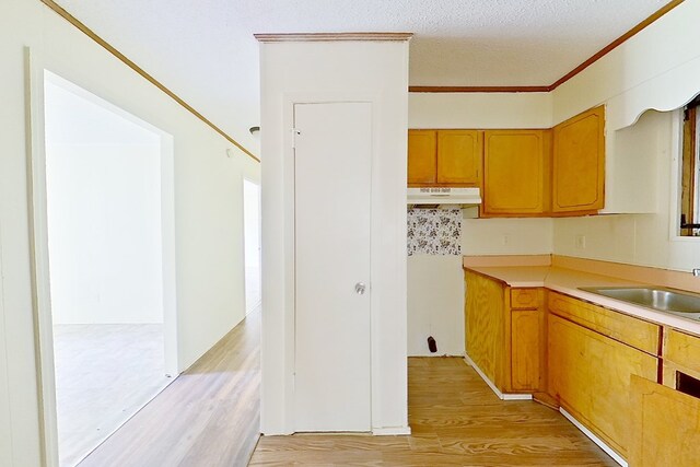 452 Bn Railroad Cir, Boston, GA 31626 - kitchen with light wood-type flooring, light countertops, under cabinet range hood, a sink, and crown molding