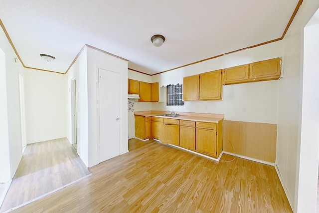 452 Bn Railroad Cir, Boston, GA 31626 - kitchen with light wood finished floors, light countertops, crown molding, brown cabinetry, and a sink