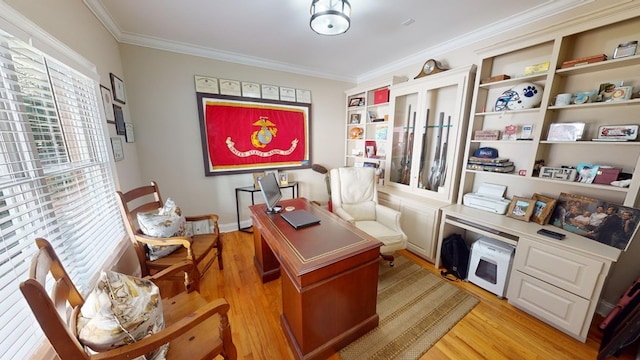 office area with crown molding and light hardwood / wood-style flooring