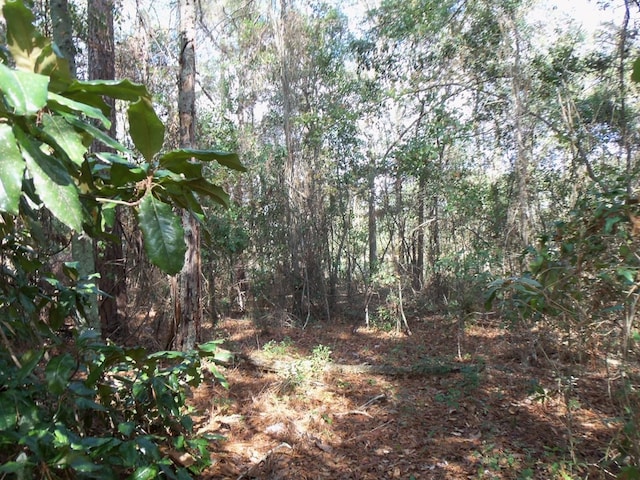 Listing photo 3 for LOT10 N Macarthur Dr Unit 10, Camilla GA 31730