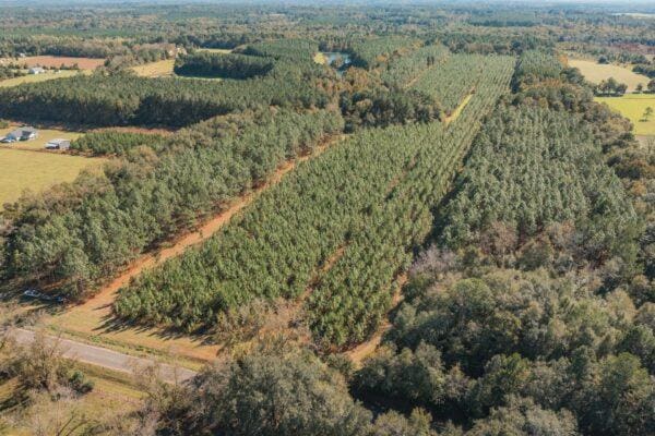 81.71AC Bold Springs Rd, Cairo GA, 39828 land for sale