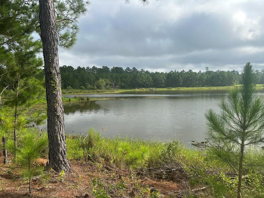 27286 N US Highway 19, Ochlocknee, GA 31773 - photo 1