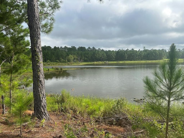 27286 N US Highway 19, Ochlocknee, GA 31773 - photo 1