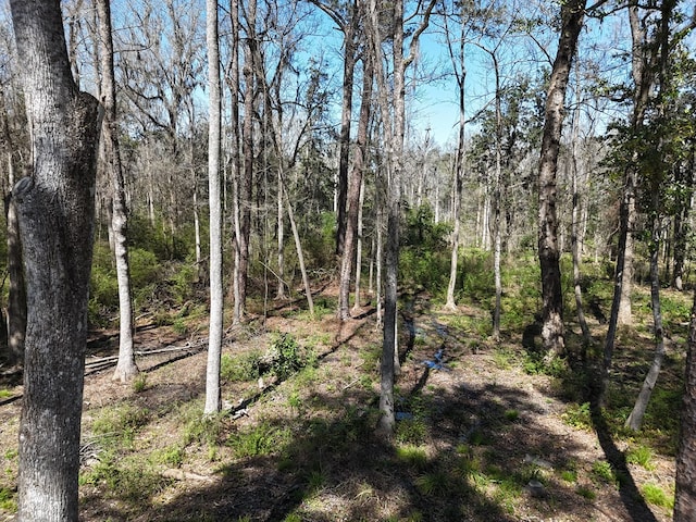 view of local wilderness with a forest view