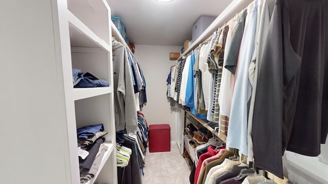 spacious closet with carpet