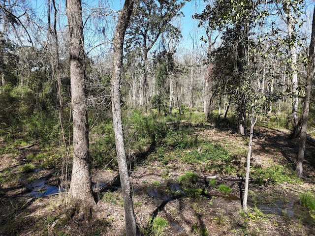 view of nature with a forest view