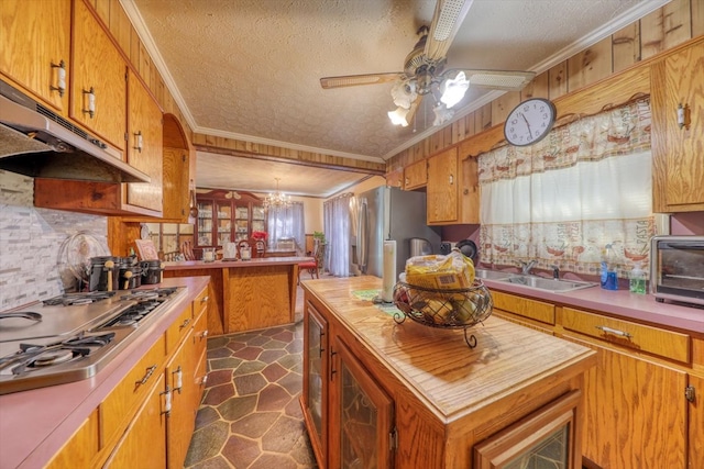 kitchen featuring appliances with stainless steel finishes, ceiling fan with notable chandelier, sink, ornamental molding, and a textured ceiling