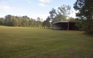 view of yard featuring a carport