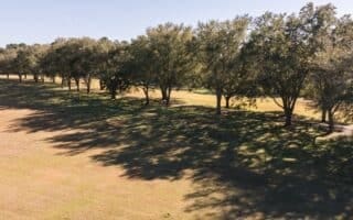 view of nature featuring a rural view