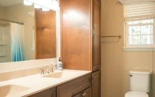 bathroom with vanity, toilet, and a shower with shower curtain