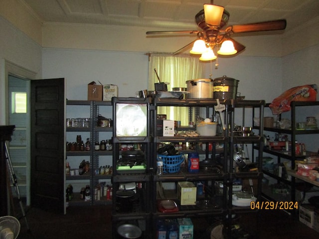 storage room with ceiling fan