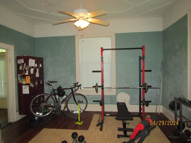 workout area with ceiling fan and hardwood / wood-style floors