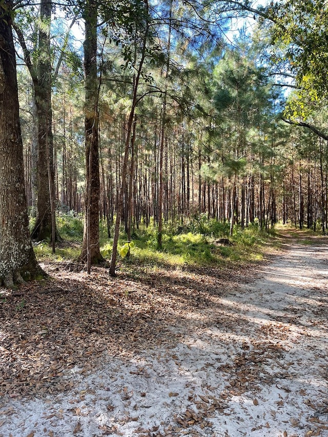 2427 Pierce Chapel Rd, Cairo, GA 39827