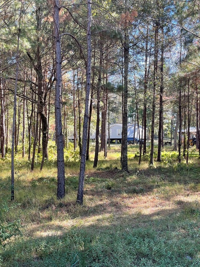 2427 Pierce Chapel Rd, Cairo, GA 39827