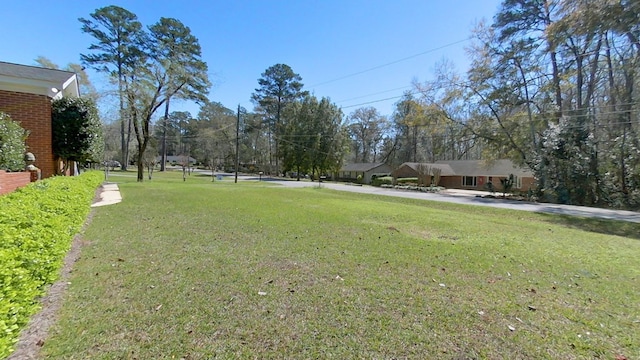 view of yard featuring concrete driveway