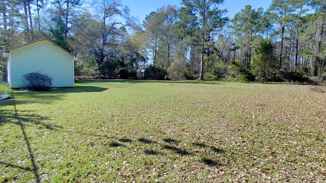 view of yard