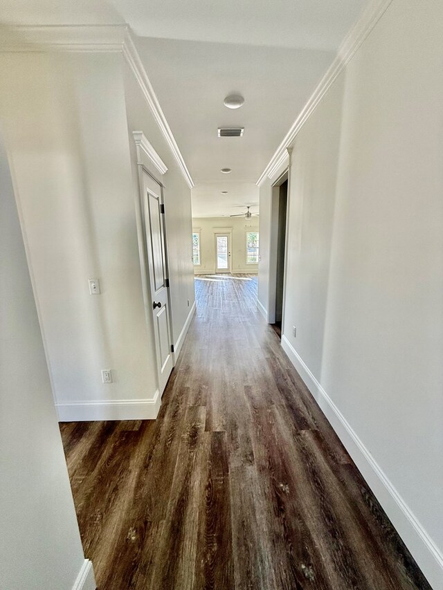 corridor featuring ornamental molding and dark wood-type flooring