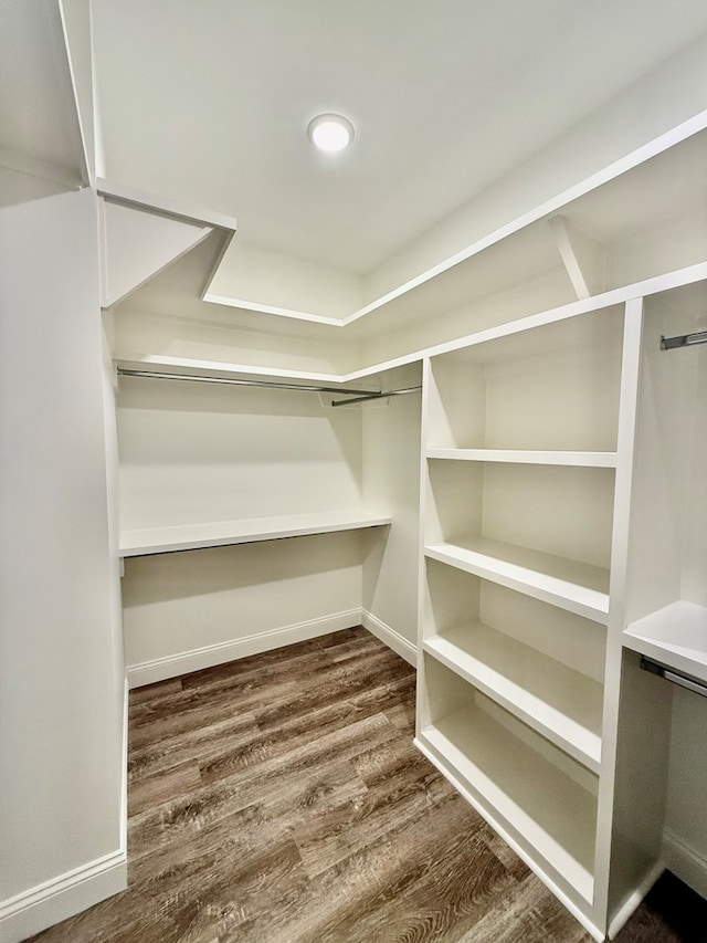 spacious closet featuring dark hardwood / wood-style flooring