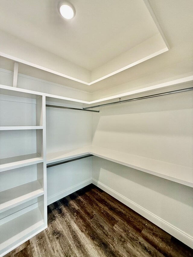 walk in closet featuring dark hardwood / wood-style floors