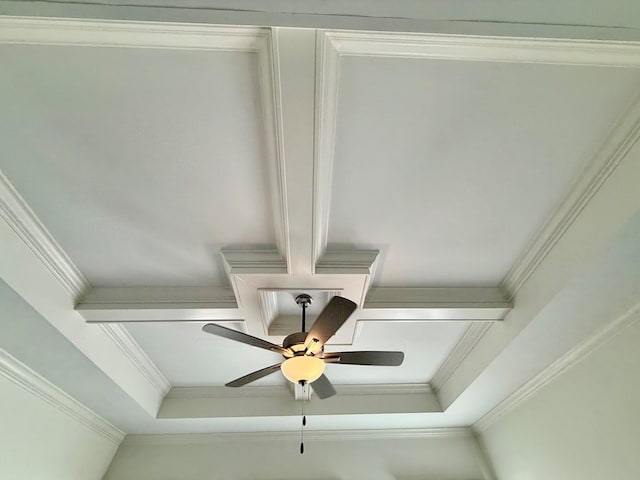 interior details with ceiling fan, ornamental molding, and a raised ceiling