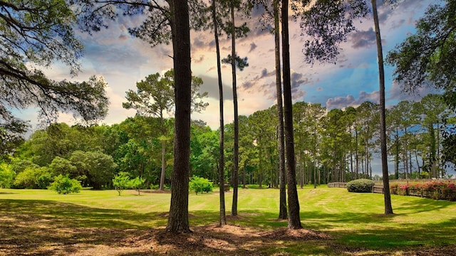 1017 Rowland Rd, Boston, GA 31626 - surrounding community featuring a lawn