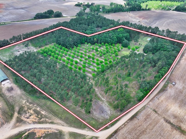 1017 Rowland Rd, Boston, GA 31626 - aerial view of sparsely populated area with property parcel outlined and abundant farmland