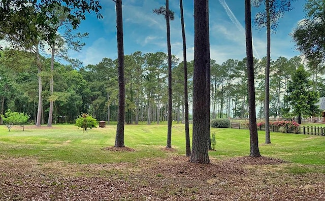 1017 Rowland Rd, Boston, GA 31626 - view of yard