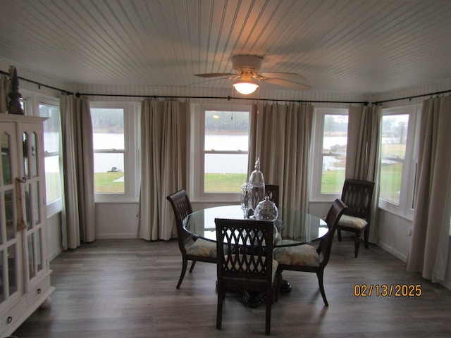 dining area featuring dark hardwood / wood-style floors