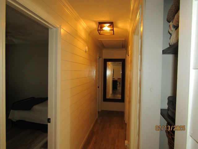 hallway with dark hardwood / wood-style flooring and wood walls