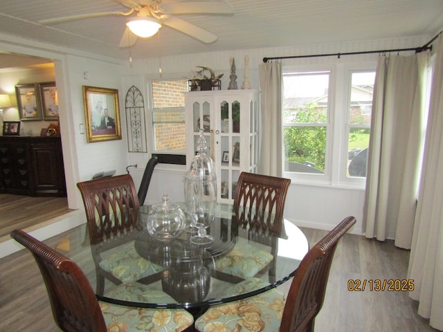 dining area featuring hardwood / wood-style floors and ceiling fan