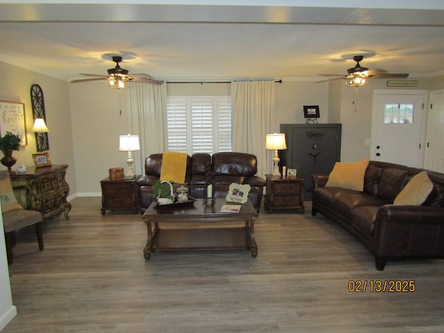 living room with ceiling fan and wood-type flooring