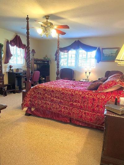 bedroom featuring ceiling fan and carpet