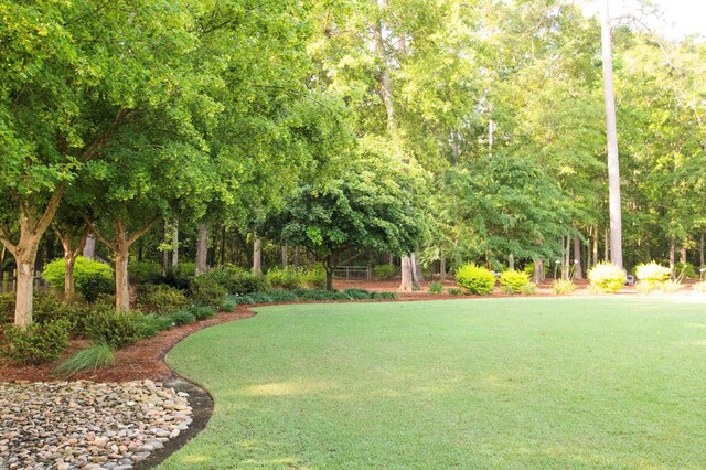 view of home's community with a yard