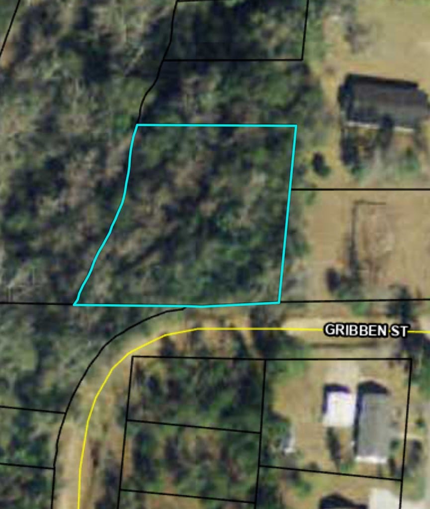610 Gribben St, Thomasville, GA 31792 - photo 2