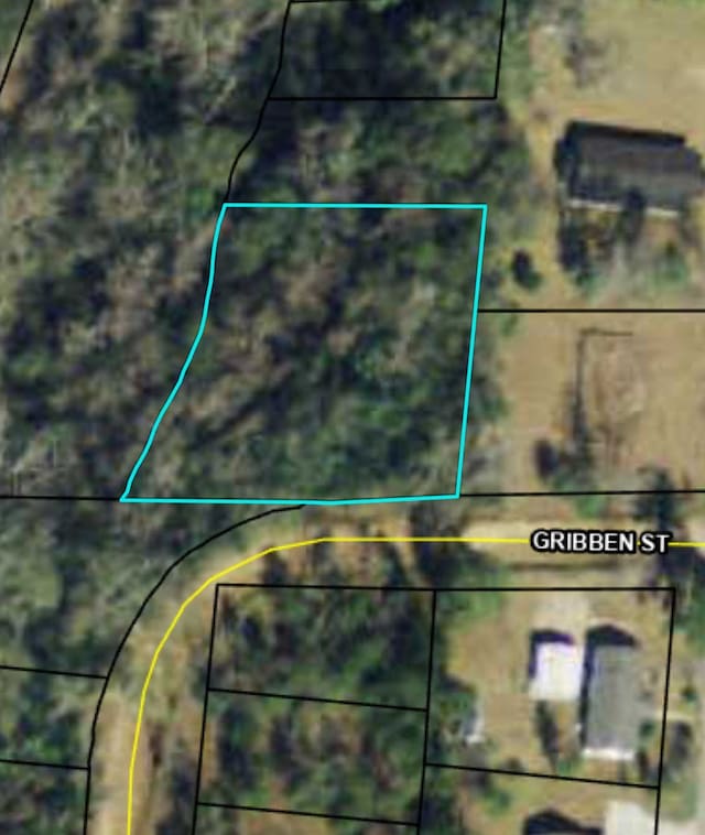 610 Gribben St, Thomasville, GA 31792 - photo 2