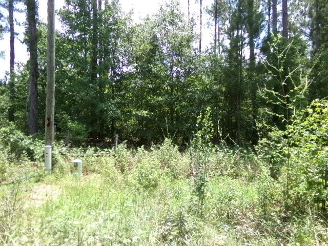 7647 Oscar Cir, Donalsonville, GA 39845 - photo 6